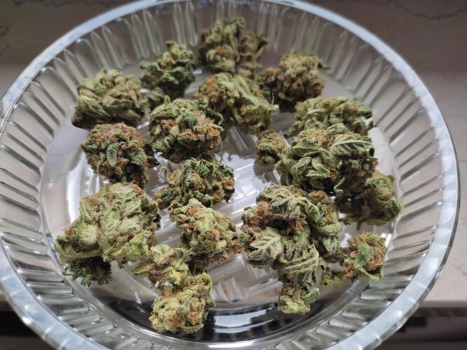 Growreport Bild 21