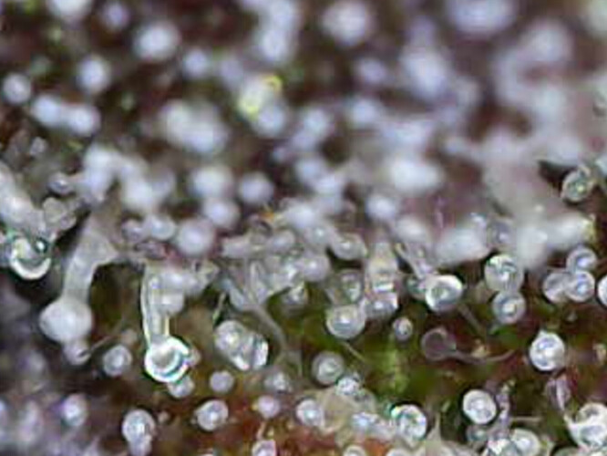 Image_2025-01-07 16_33_51_764