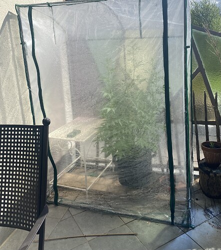 Growreport Bild 1