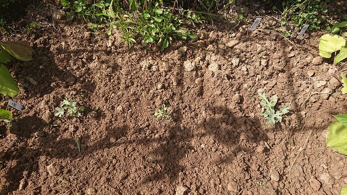 Growreport Bild 6