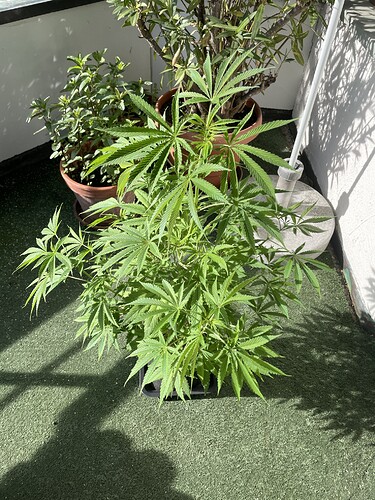 Growreport Bild 16