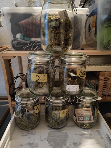 Growreport Bild 2