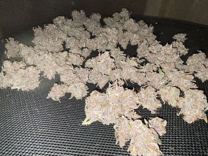 Growreport Bild 8