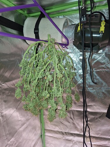 Growreport Bild 15