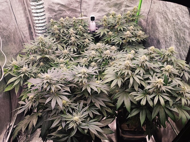 Growreport Bild 14