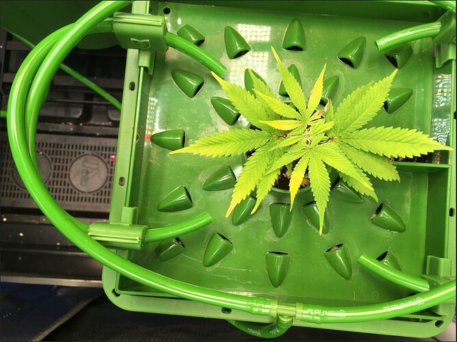 Screenshot 2024-11-13 074146