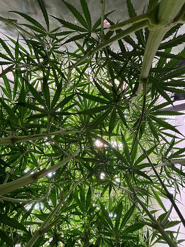 Growreport Bild 16