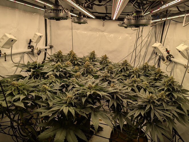 photo_2025-12-17_12-09-41