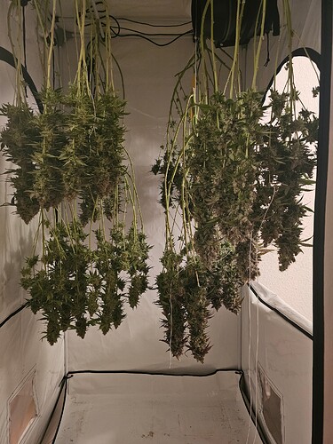 Growreport Bild 4