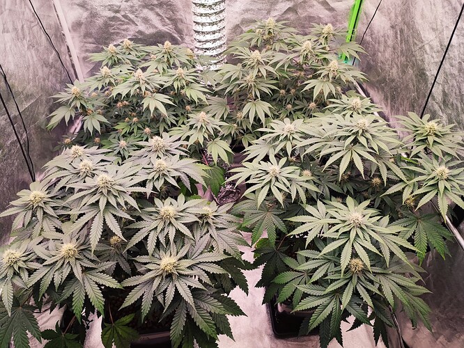Growreport Bild 10
