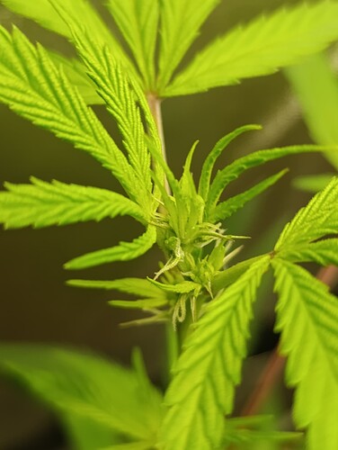 Growreport Bild 11