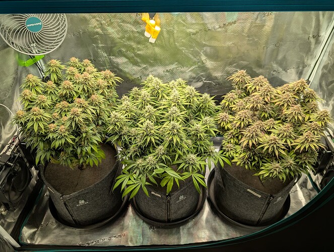 Growreport Bild 15