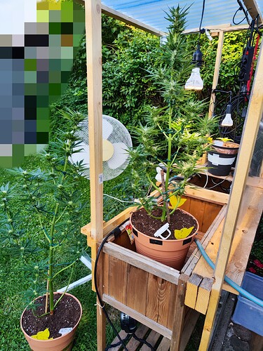 Growreport Bild 20