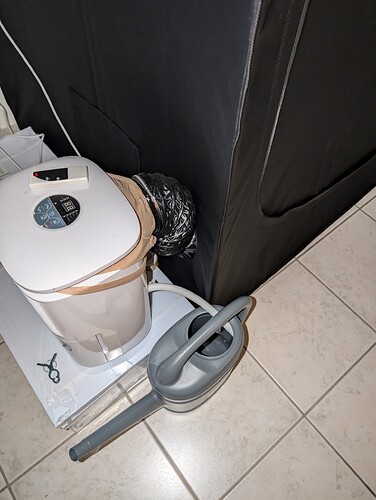 PXL_20240707_085015342