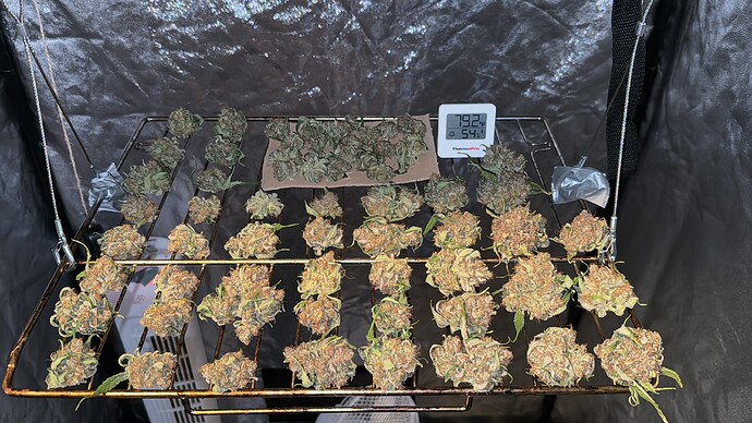 IMG_6743