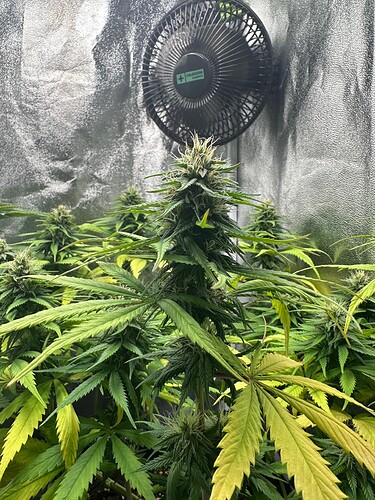 Growreport Bild 18