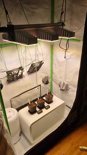 WhatsApp Image 2024-04-29 at 17.28.48