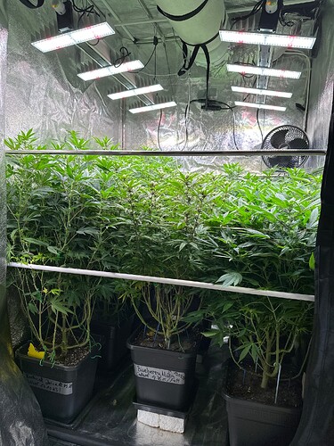 Growreport Bild 16