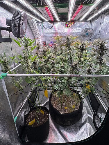 Growreport Bild 14