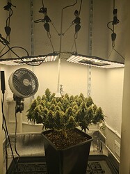 Growreport Bild 5