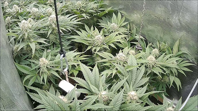 Growreport Bild 24