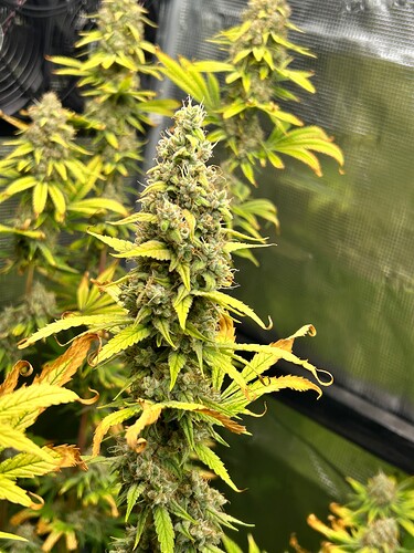 Growreport Bild 22
