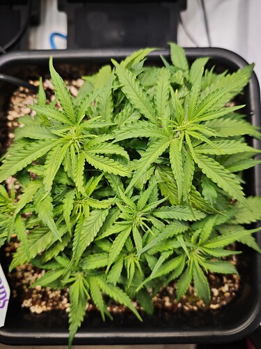 MVIMG_20251013_172636