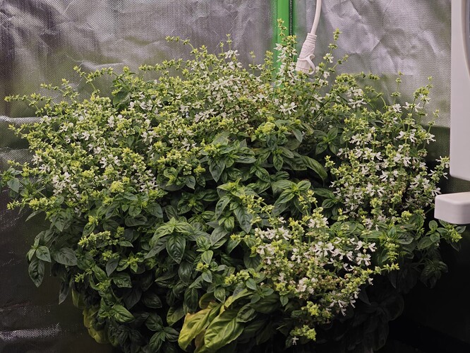Growreport Bild 16