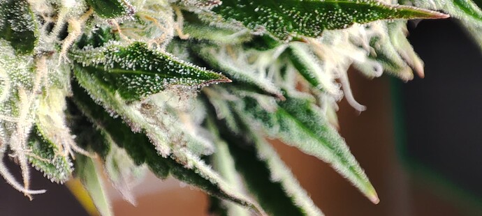 Growreport Bild 12