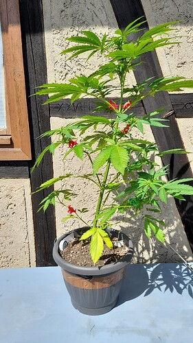 Growreport Bild 14