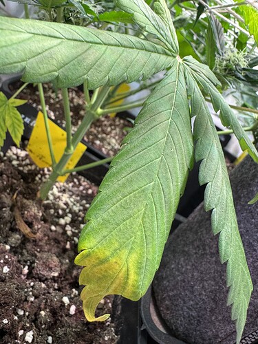 Growreport Bild 23