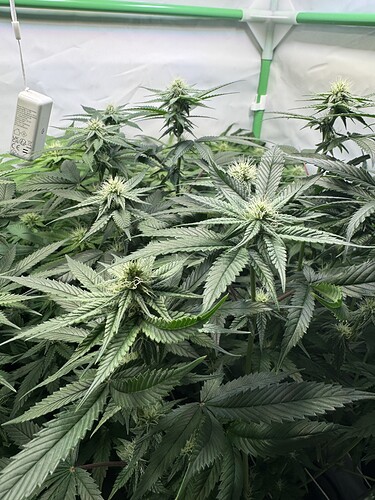 Growreport Bild 21
