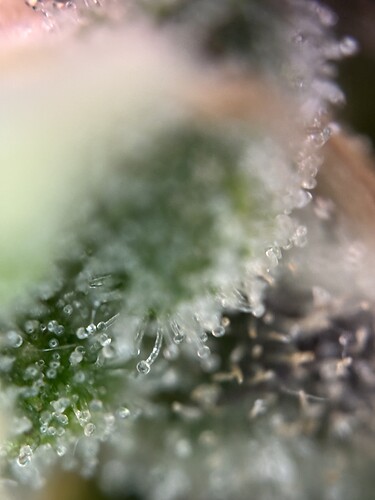 Growreport Bild 13