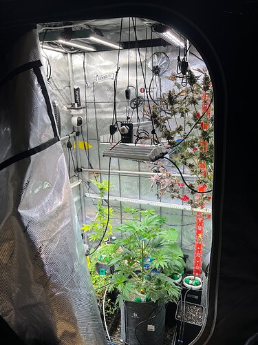 Growreport Bild 5