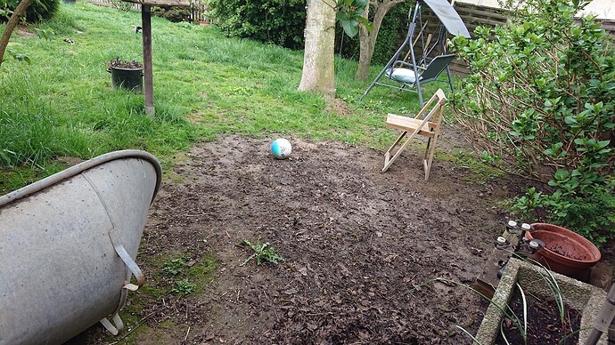 Growreport Bild 41