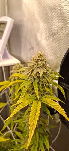 Growreport Bild 8