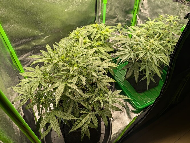 Growreport Bild 16
