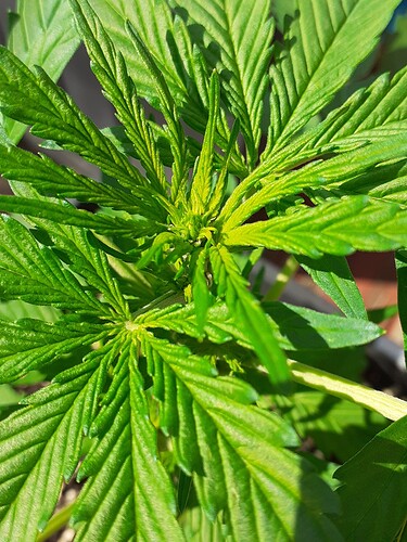 Growreport Bild 26