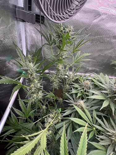 Growreport Bild 9