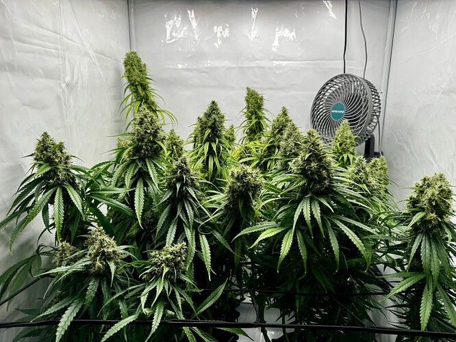 Growreport Bild 7
