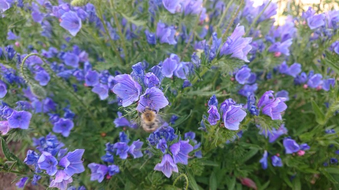 Growreport Bild 8