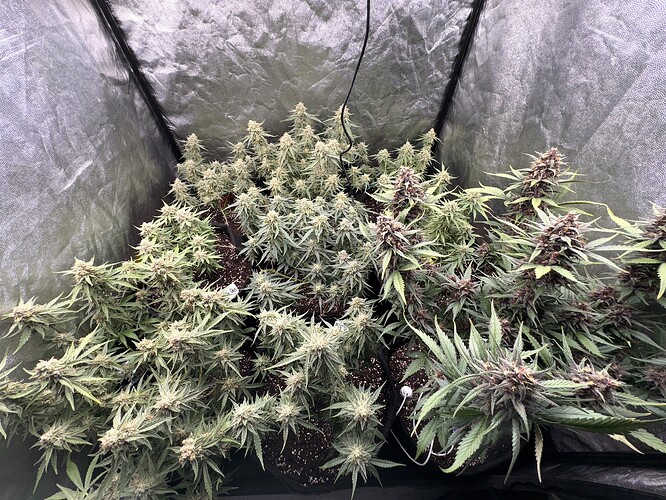 Growreport Bild 10