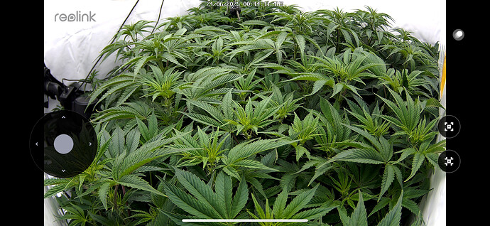 Growreport Bild 1