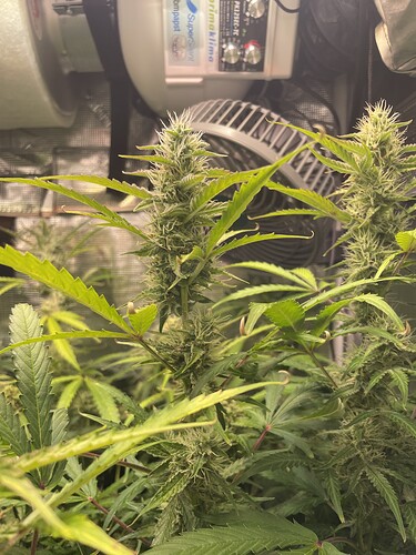 Growreport Bild 2