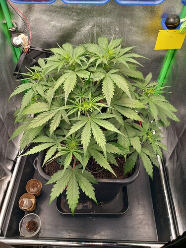 Growreport Bild 19
