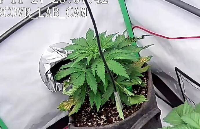 Growreport Bild 22