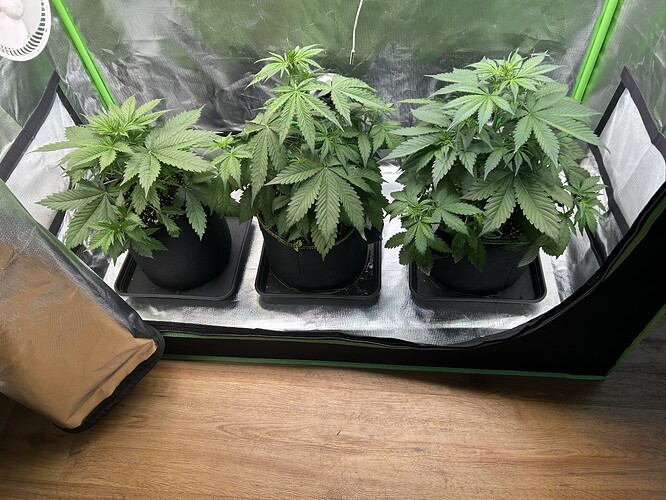 Growreport Bild 9