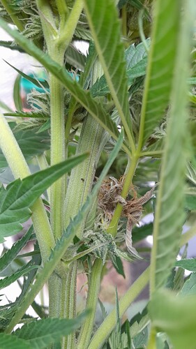 Growreport Bild 8