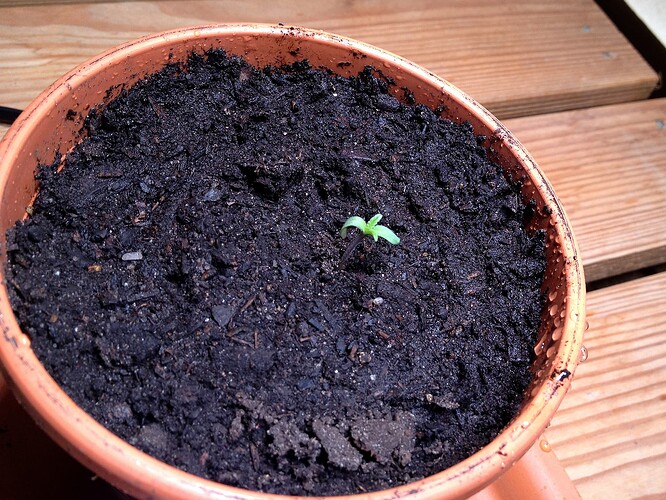 Growreport Bild 38