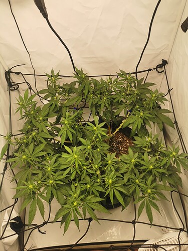 Growreport Bild 12